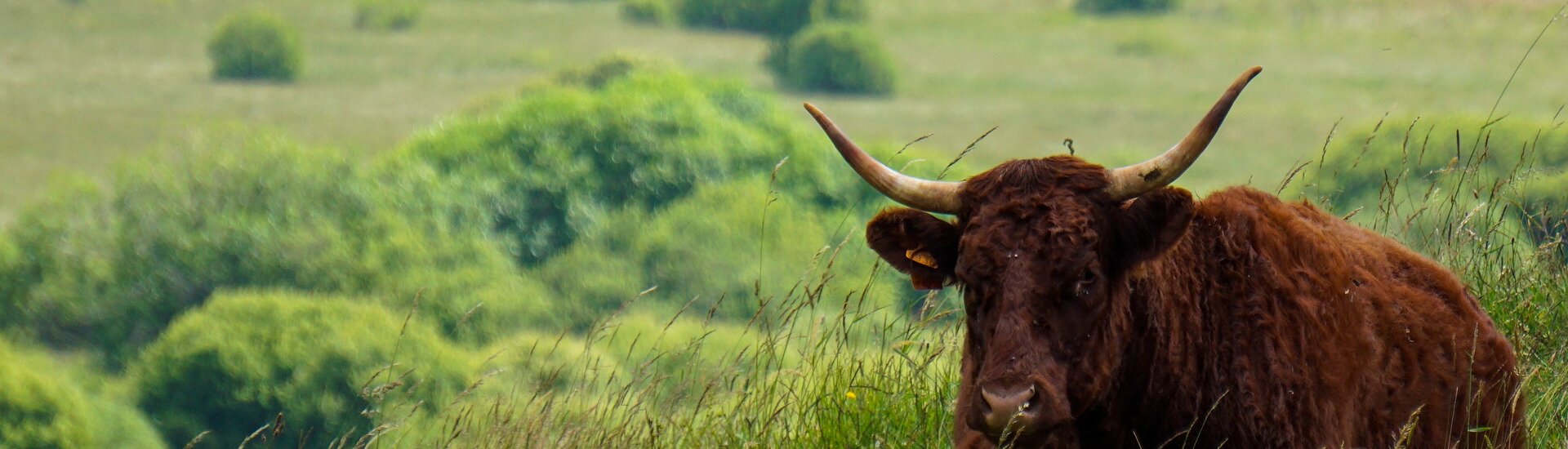 Commune de Lanobre - Cantal Auvergne