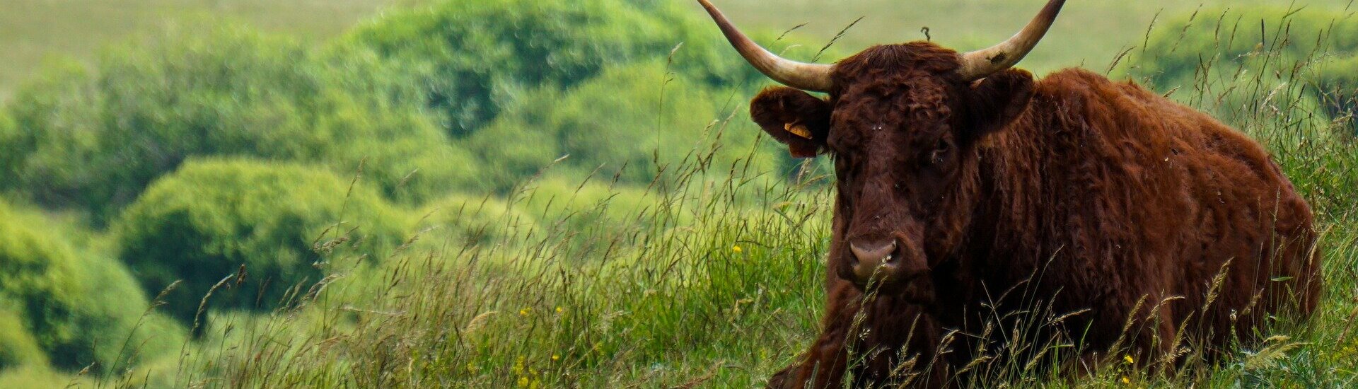 Commune de Lanobre - Cantal Auvergne